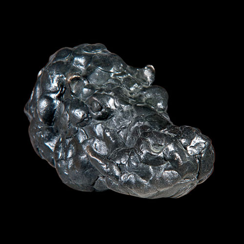 Hypopotame bronze